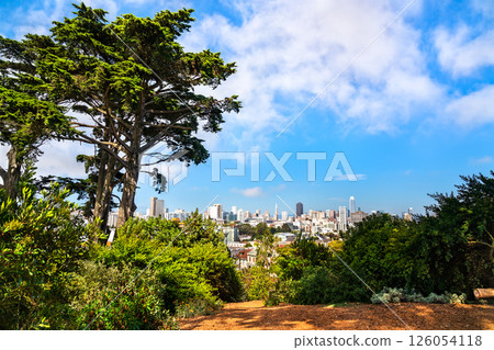 Scenic view of downtown San Francisco from Alamo Square Park, framed by lush greenery and iconic cypress trees under a bright summer sky 126054118