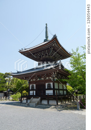 京都市上京區本法寺多寶塔 京都市上京區本法寺多寶塔 126054443