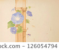 Morning glory flowers entwined around bamboo 126054794