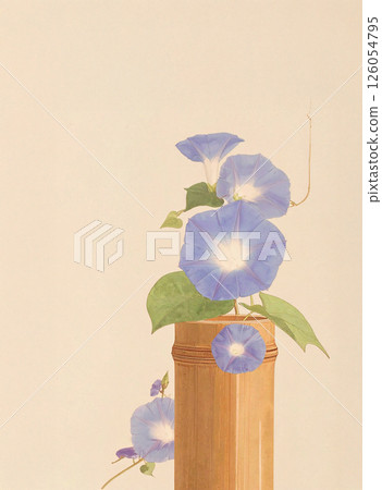 Morning glory flowers arranged in a bamboo tube 126054795