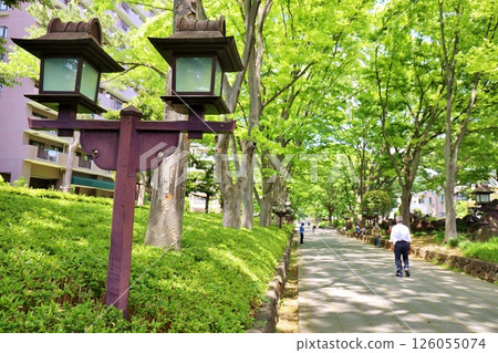 Omiya Hikawa Shrine Shrine entrance 126055074