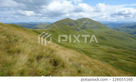 summer landscape in the mountains 126055160