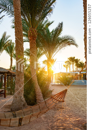Relaxing in a hammock at sunset on a tropical beach surrounded by palm trees 126055257