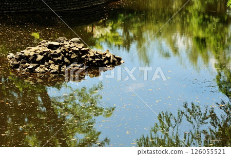 大宮冰川神社的池塘 126055521