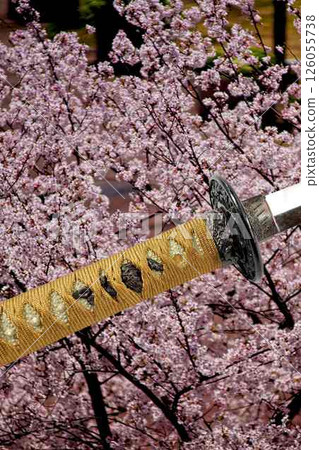 日本劍 日本劍 126055738