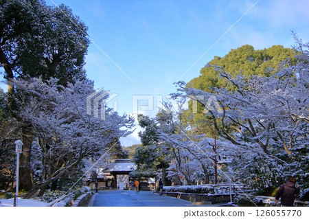 京都清晨的金閣寺被白雪覆蓋 京都清晨的金閣寺被白雪覆蓋 126055770