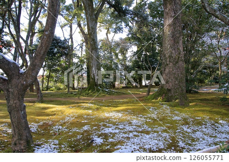 京都清晨的金閣寺被白雪覆蓋 126055771
