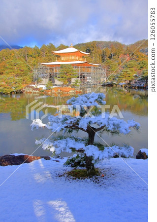 京都清晨的金閣寺被白雪覆蓋 126055783