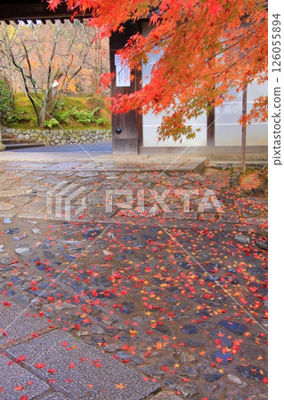京都觀光路線「絹掛之路」和龍安寺的紅葉 126055894