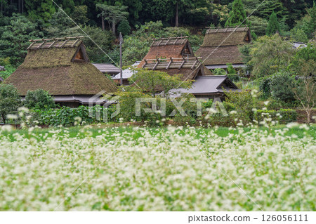 京都府南丹市美山町草屋村的秋景 京都府南丹市美山町草屋村的秋景 126056111