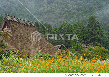 Autumn scenery photographed at Thatched Roof Village in Miyama-cho, Nantan City, Kyoto Prefecture 126056132
