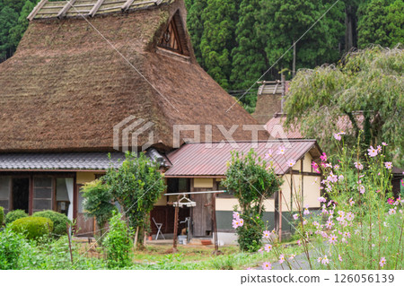 Autumn scenery photographed at Thatched Roof Village in Miyama-cho, Nantan City, Kyoto Prefecture 126056139