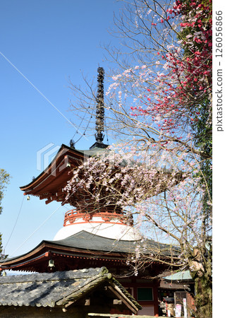Jisonin (Tahoto) [和歌山縣工藤山町] 126056866