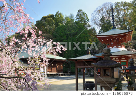 Jisonin (Tahoto) [和歌山縣工藤山町] 126056873