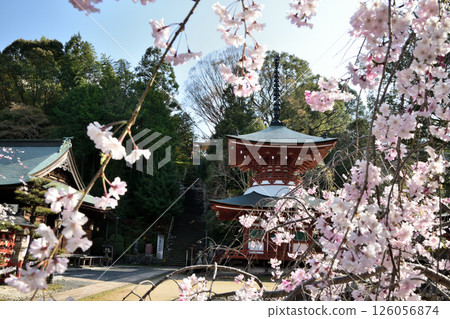 Jisonin (Tahoto) [Kudoyama Town, Wakayama Prefecture] 126056874