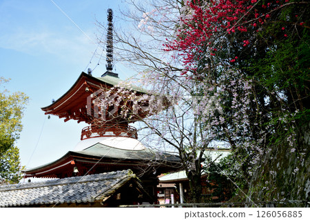 Jisonin (Tahoto) [和歌山縣工藤山町] 126056885