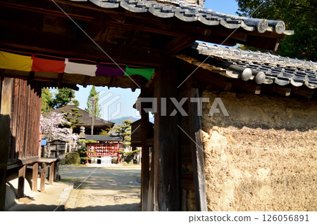 慈尊院[和歌山縣九度山町] 126056891