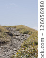 Trail  126056980