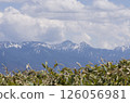 Yatsugatake as seen from Kurumayama 126056981
