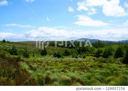 Hilly landscape with a meadow on a sunny day in the Wicklow mountains in Ireland, Hilly landscape with a meadow on a sunny day in the Wicklow mountains in Ireland, 126057156