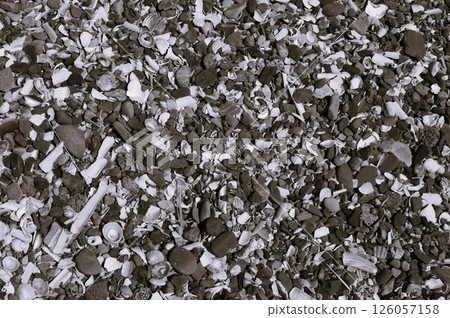 Background of shells and various pebbles. Screen background.Background of shells and various pebbles.  Background of shells and various pebbles. Screen background.Background of shells and various pebbles.  126057158