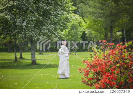 Bride in a pure white kimono 126057269