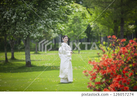 Bride in a pure white kimono 126057274