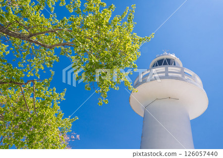 "Iwate Prefecture" The white Kurosaki Lighthouse stands out against the blue sky and fresh greenery. Iwate Prefecture 126057440