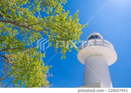 "Iwate Prefecture" The white Kurosaki Lighthouse stands out against the blue sky and fresh greenery. Iwate Prefecture 126057441