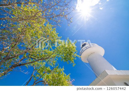 『岩手縣』白色的黑崎燈塔在藍天和新綠的映襯下格外醒目。岩手縣 126057442