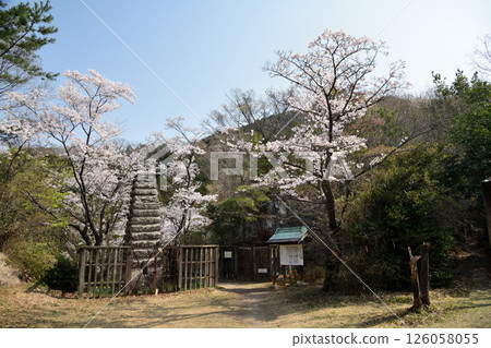 The ruins of Shikadani Temple on Mt. Nijō [Taishi-cho, Osaka Prefecture] 126058055