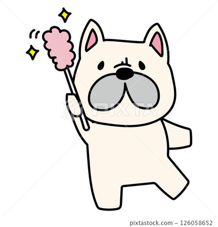 法國鬥牛犬用撣子撣去灰塵 126058652