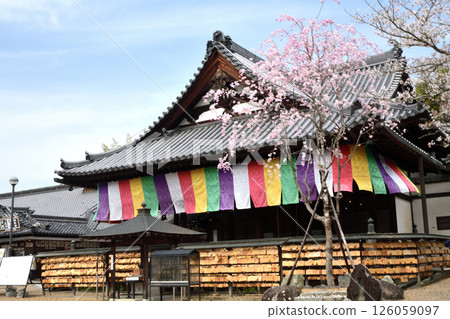 阿部文殊院[奈良縣櫻井市] 126059097