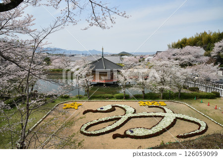 阿部文殊院[奈良縣櫻井市] 126059099