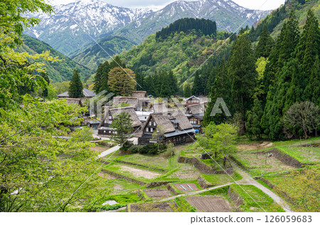 Visit the Gokayama Gassho-style Villages when there is still snow remaining and be soothed by the pristine scenery Visit the Gokayama Gassho-style Villages when there is still snow remaining and be soothed by the pristine scenery 126059683