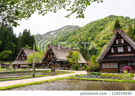 在積雪尚存的時節，造訪五簇山合掌村，感受原始的自然風光 126059690