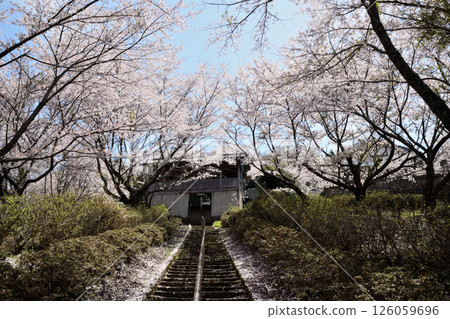 國代山（國代神社參道）[和歌山縣橋本市] 126059696
