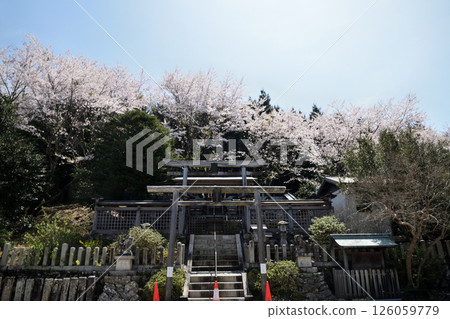 Kunishiro Shrine [Hashimoto City, Wakayama Prefecture] 126059779