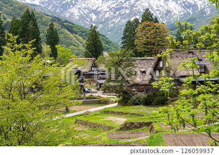 在積雪尚存的時節,造訪五簇山合掌村,感受原始的自然風光 在積雪尚存的時節,造訪五簇山合掌村,感受原始的自然風光 126059937