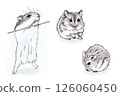水彩畫風格的 Djungarian 倉鼠的各種姿勢 126060450