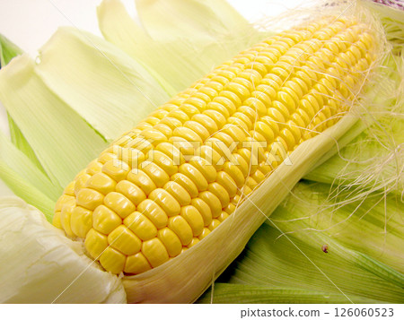 岐阜縣玉米陽光巧克力12 126060523