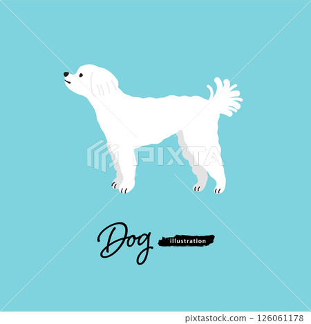 狗狗插畫_馬耳他犬 126061178