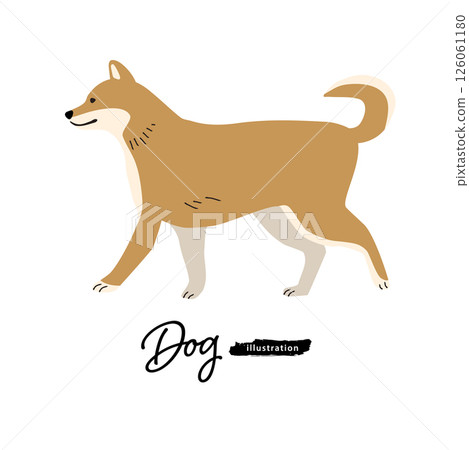 狗狗插畫_柴犬 126061180