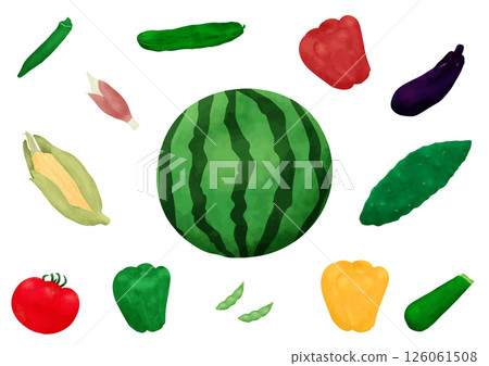 一組夏季蔬菜手繪插圖 126061508