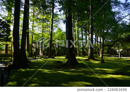 京都佛教寺廟內的風景 京都佛教寺廟內的風景 126061698