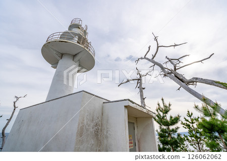 Ryumaizaki, Sanriku Fukkou National Park, Japan's largest sea cliff, the southernmost point of Kesennuma Oshima 126062062