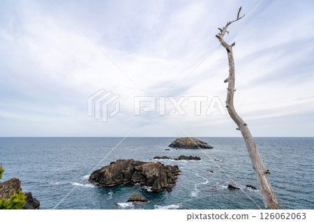 龍米崎,三陸復光國立公園,日本最大的海崖,氣仙沼大島的最南端 龍米崎,三陸復光國立公園,日本最大的海崖,氣仙沼大島的最南端 126062063