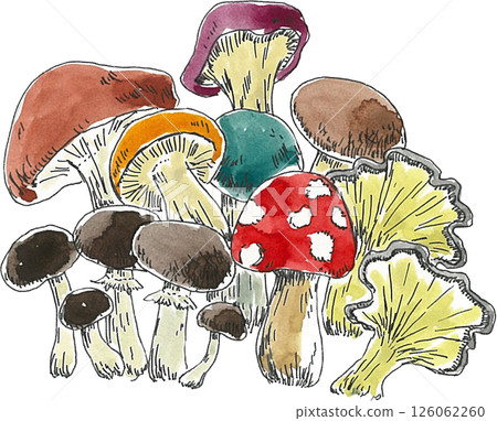 蘑菇畫水彩 126062260