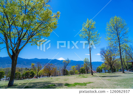 [Early summer ingredients] Fuefukigawa Fruit Park and Kofu Basin in the season of fresh greenery [Yamanashi Prefecture] 126062937