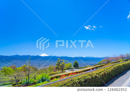 【初夏食材】新綠時節的笛吹川水果公園與甲府盆地【山梨郡】 126062952